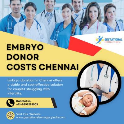 Embryo Donor Costs Chennai - Chennai Other