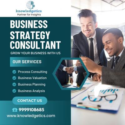 Business strategy consulting service