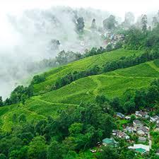 Darjeeling Family Tour - Delhi Other