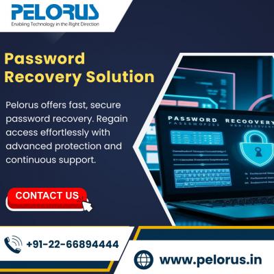 Password Recovery Solution