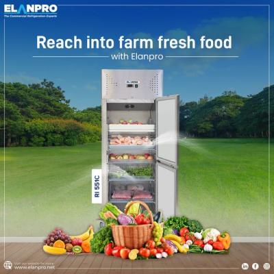 Discover Top Quality Kitchen Refrigerator from Elanpro 