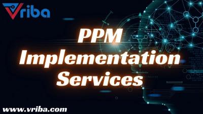 Looking for PPM Implementation Services  