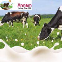 Cow Milk Chennai