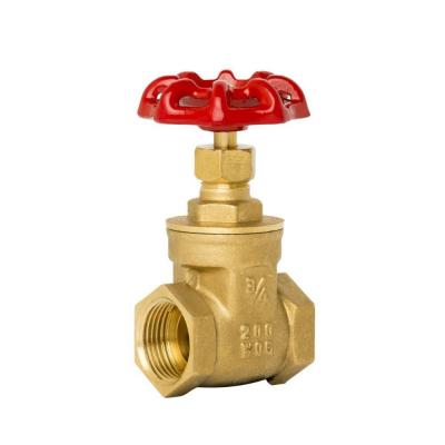 globe valve application - Kolkata Other