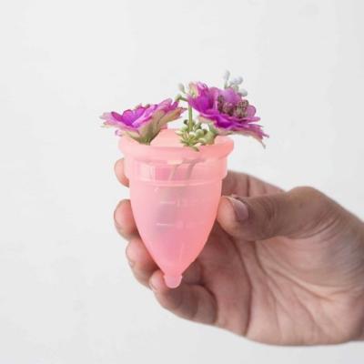 Buy the Best Menstrual Cup for Comfort and Care by Shecup