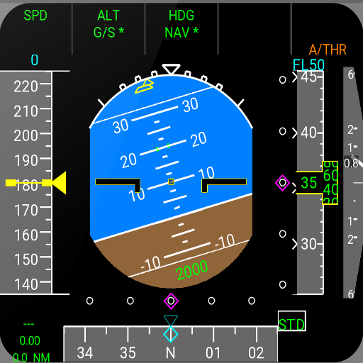 Best Pilot Training Institute in Mumbai