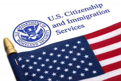 Professional Immigration Documentation Assistance - Other Other