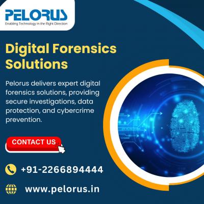 Digital Forensics Solutions - Mumbai Other