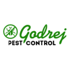 Best Pest Control Services in Gurgaon - Gurgaon Other