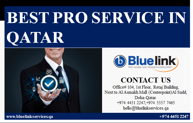 Pro services company in qatar - Dubai Other