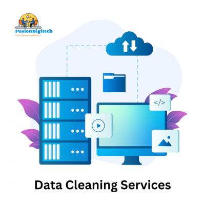 Data Cleaning Services