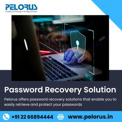 Password Recovery Solution - Mumbai Other