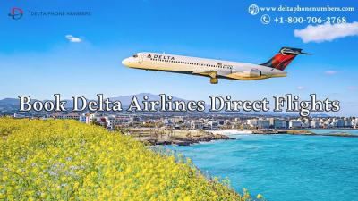 Book Delta Airlines Direct Flights - Chicago Other