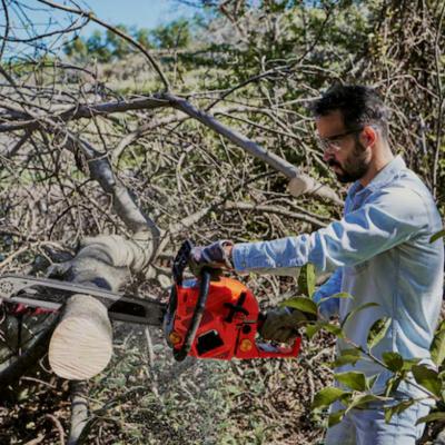 Pruning service Prince George  - Other Other