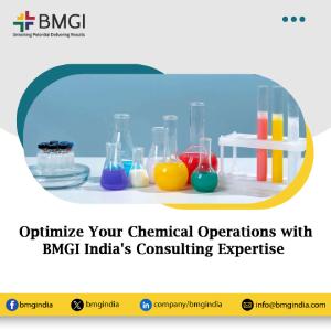 Optimize Your Chemical Operations with BMGI India's Consulting Expertise