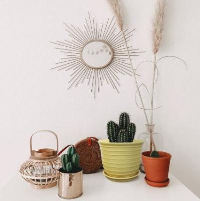 Ceramic planters manufacturers - Washington Other