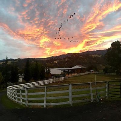 Boarding Stables For Horses - Sacramento Other