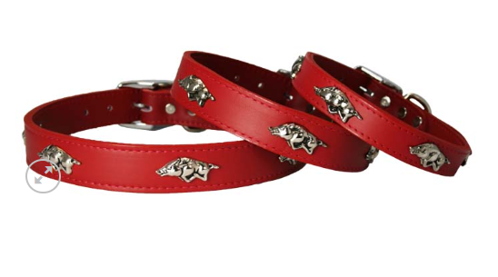 Cox Creek Pet Supply Razorback Dog Collar Available