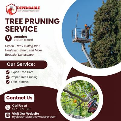 Tree Pruning Staten Island - Other Other