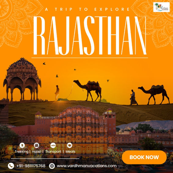 Unforgettable Rajasthan Tour Packages - New York Other