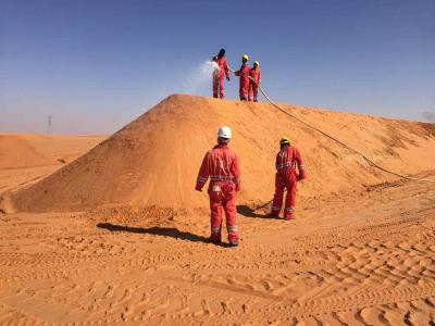 Looking For Berm Sand Control Saudi Arabia