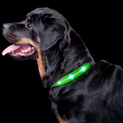 Light Your Pet's Walks with a Cox Creek Pet Supply Dog Waterproof LED Collar