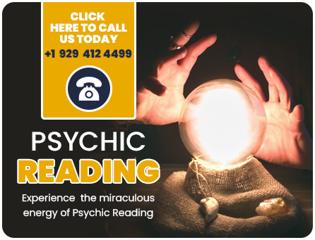 Find Clarity with a Trusted Psychic Reader in Chicago – Rishi Astrologer