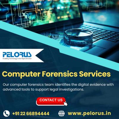 Computer Forensics Services 