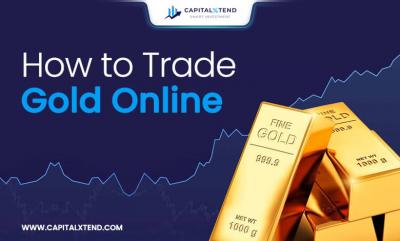 Gold Trading Platform - CapitalXtend - London Other