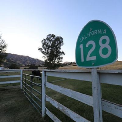 Horse Boarding Stables - Sacramento Other