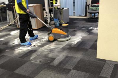 Steam Carpet Cleaner - Sydney Professional Services