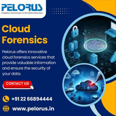 Cloud Forensics | data forensics