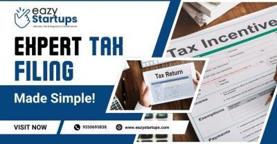 Expert Tax Filing Made Simple! - Howrah Other