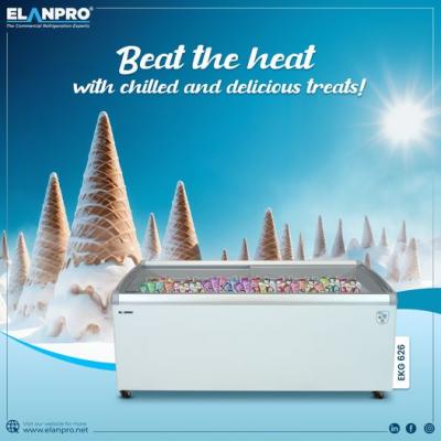 Benefits of Choosing Elanpro Chest Freezer for Your Business