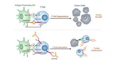 Immunotherapy treatment in Delhi