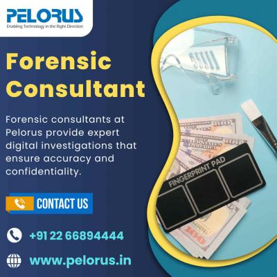 forensic consultant | forensics audit