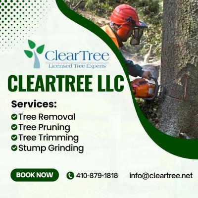 Tree trimming Harford County - Other Other