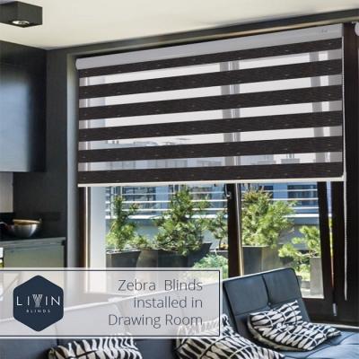 Opt for Highly Innovative Zebra Blinds