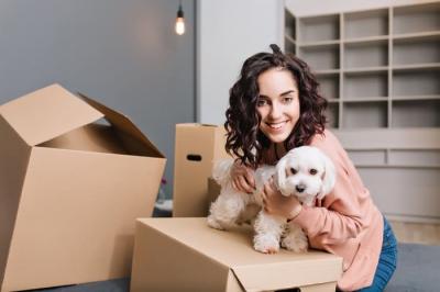 Pet Relocation Company in Dubai