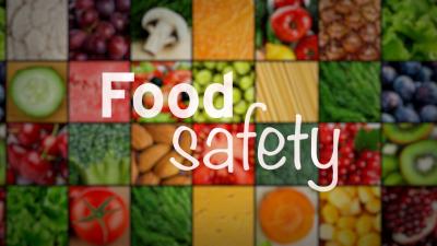 Food Processing and Safety - Delhi Other