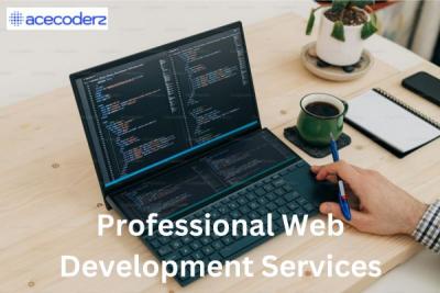 Professional Web Development Services for Your Business