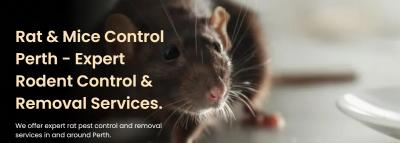 Rodent Removal Perth - Melbourne Other