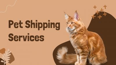 Pet Shipping Services