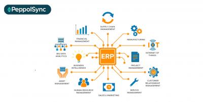 ERP Consultation Malaysia - Peppol Sync - Other Other