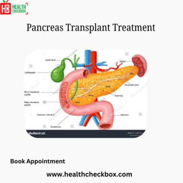 Pancreas Transplant Treatment - Delhi Other