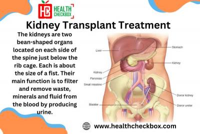 Kidney Transplant - Delhi Other