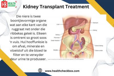 Kidney Transplant Treatment (Nieroorplantingsbehandeling) - Delhi Other