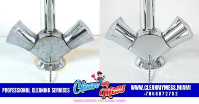 Clean My Mess Cleaning Services - Miami Domestic Help