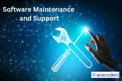 Professional Software Maintenance & Support Services for Your Business