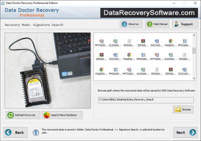 DDR Recovery Software - Professional